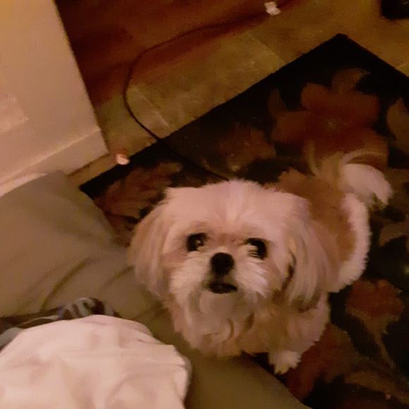 Meet your Posher, Danny - Picture 1 of 1